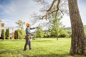 Seasonal Cleanup (Spring/Fall) in Valley Springs, CA